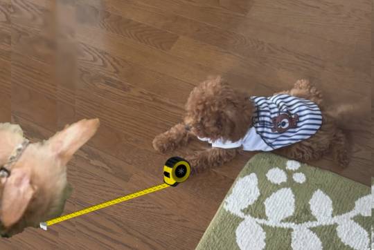 生き物ルーム75