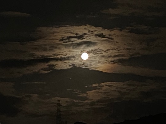 ★ドンキ♡♡ロピア雑談121★