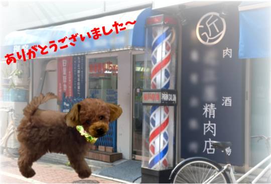 生き物ルーム75