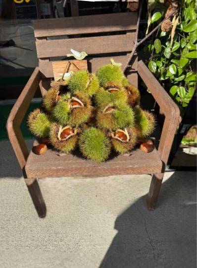 生き物ルーム76