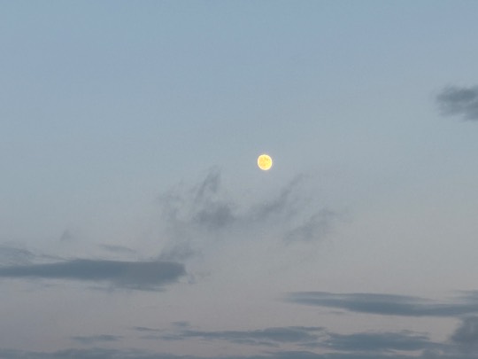 ★ドンキ♡♡ロピア雑談121★