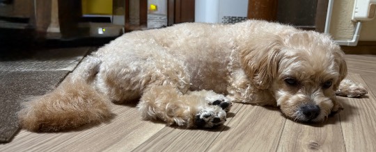 生き物ルーム75