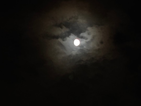 ★ドンキ♡♡ロピア雑談121★