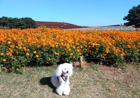 生き物ルーム76
