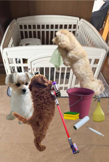 生き物ルーム75