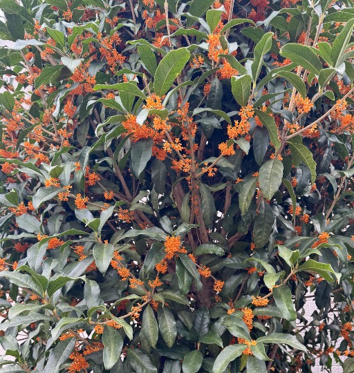 ★ドンキ♡♡ロピア雑談122★