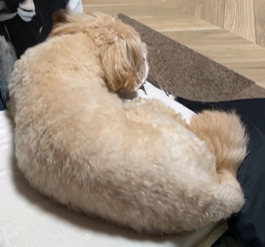 生き物ルーム76