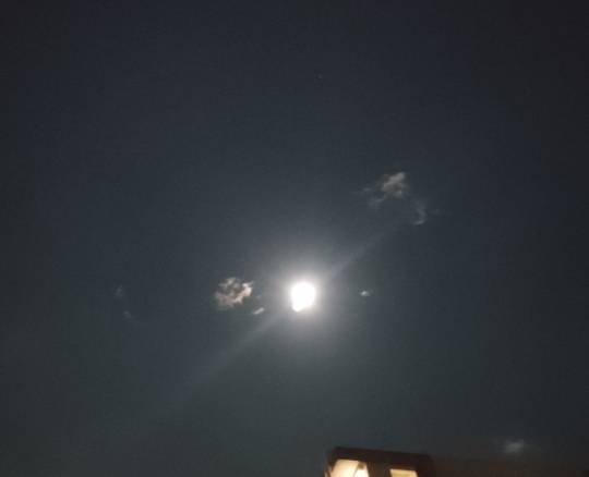 ★ドンキ♡♡ロピア雑談121★