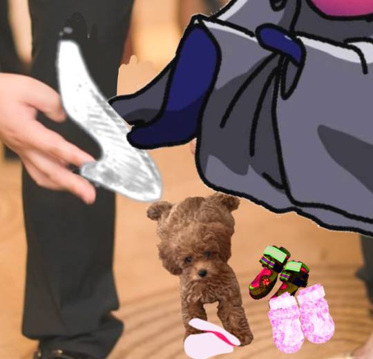 生き物ルーム75