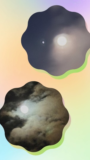 ★ドンキ♡♡ロピア雑談121★