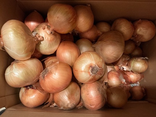 ★ドンキ♡♡ロピア雑談122★