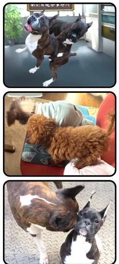 生き物ルーム75