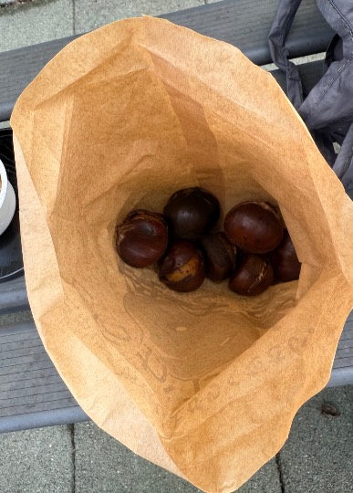 雑談お絵描き部・コラージュ部・素材提供部　No.20