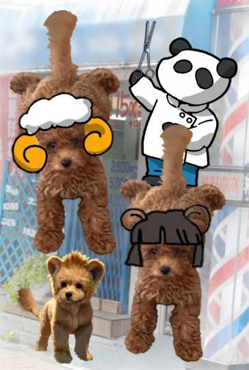 生き物ルーム75