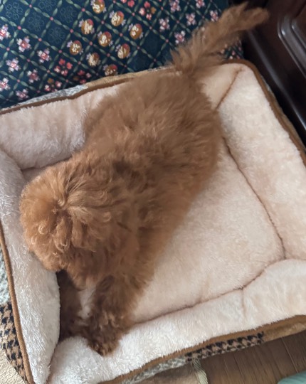 生き物ルーム75