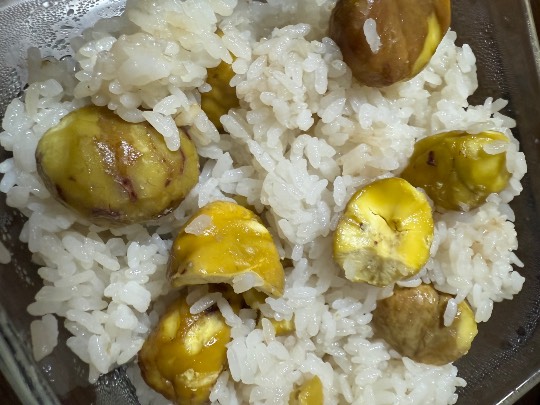 生き物ルーム75