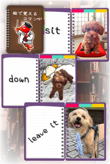 生き物ルーム75