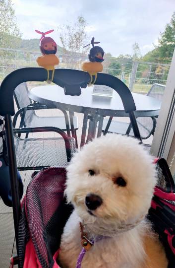 生き物ルーム76