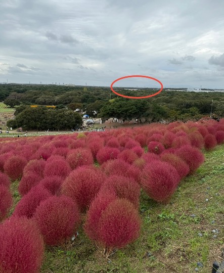 生き物ルーム76