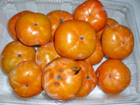 ★ドンキ♡♡ロピア雑談122★