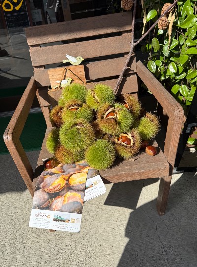 雑談お絵描き部・コラージュ部・素材提供部　No.20