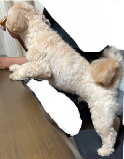 生き物ルーム75