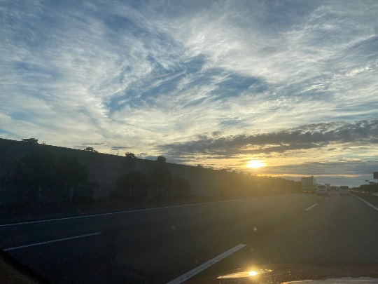 あつまれ！サブカルの森 ＃5