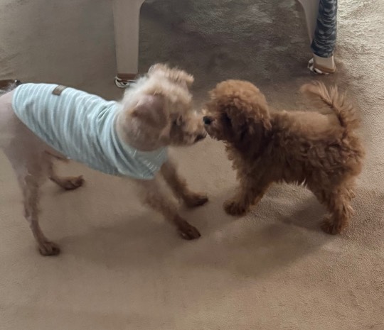 生き物ルーム75