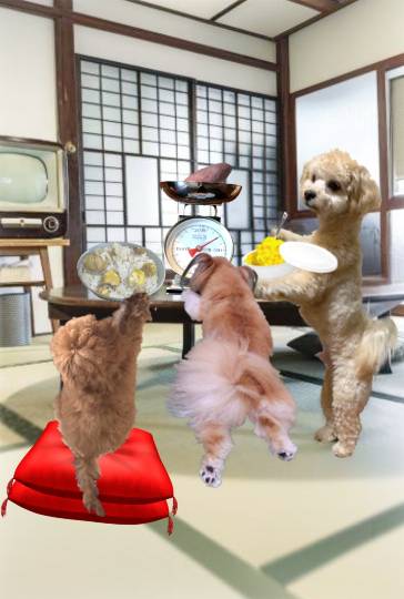 生き物ルーム75