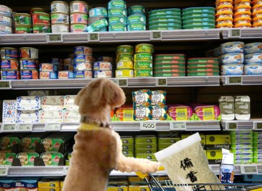 生き物ルーム75