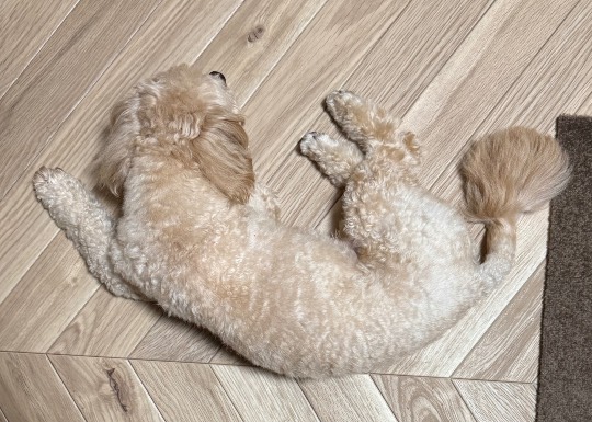 生き物ルーム75