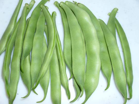 ★ドンキ♡♡ロピア雑談122★