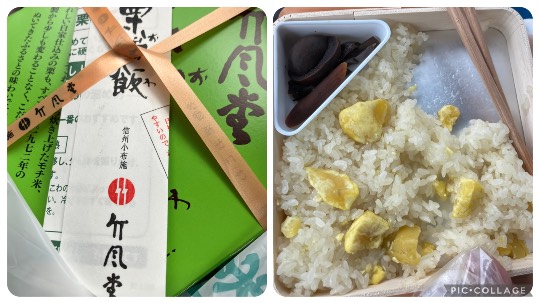 あつまれ！サブカルの森 ＃5