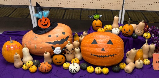 ★ドンキ♡♡ロピア雑談122★