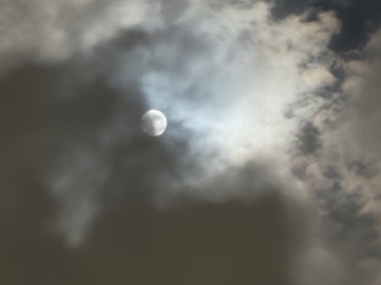 ★ドンキ♡♡ロピア雑談121★