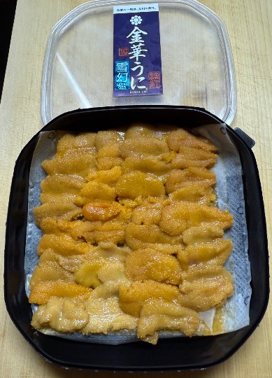 生き物ルーム75