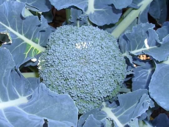 ★ドンキ♡♡ロピア雑談123★