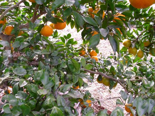 ★ドンキ♡♡ロピア雑談123★