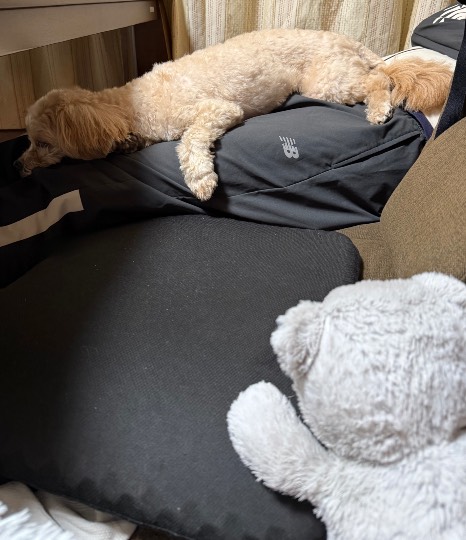 生き物ルーム76