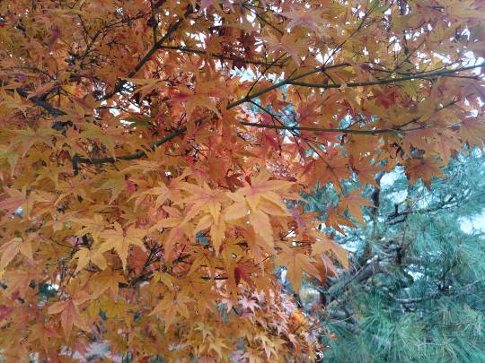 ★ドンキ♡♡ロピア雑談123★