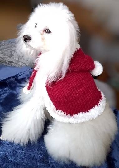 生き物ルーム76