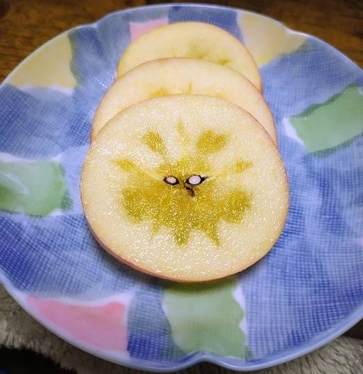 マスク同好会詰め所兼ニューフェイス歓迎所47╰⁠(⁠*⁠´⁠︶⁠`⁠*⁠)⁠╯