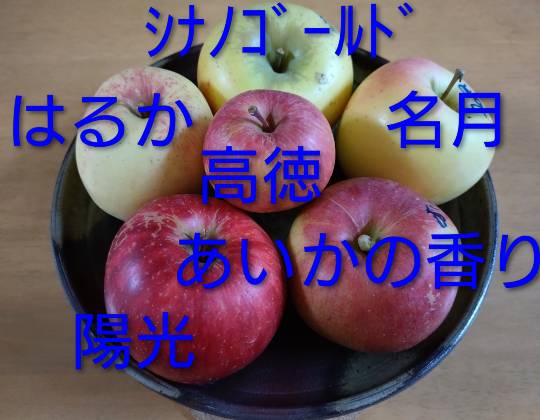 マスク同好会詰め所兼ニューフェイス歓迎所47╰⁠(⁠*⁠´⁠︶⁠`⁠*⁠)⁠╯