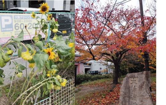 ★ドンキ♡♡ロピア雑談123★