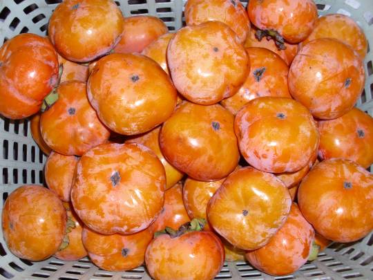 ★ドンキ♡♡ロピア雑談122★