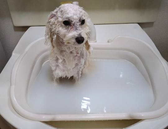 生き物ルーム76