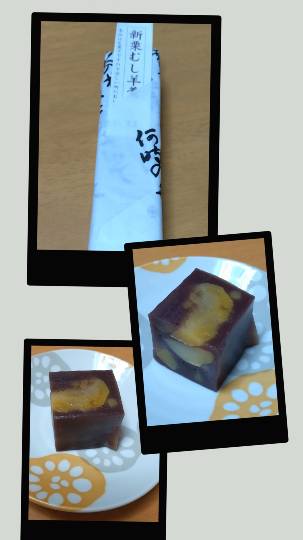 生き物ルーム76