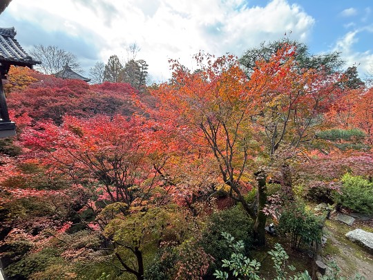 ★ドンキ♡♡ロピア雑談123★