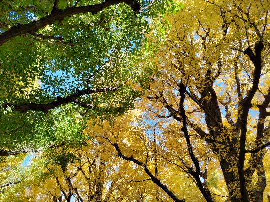 ★ドンキ♡♡ロピア雑談123★