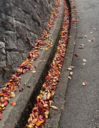 ★ドンキ♡♡ロピア雑談123★